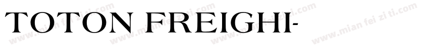 TOTON FREIGHI字体转换